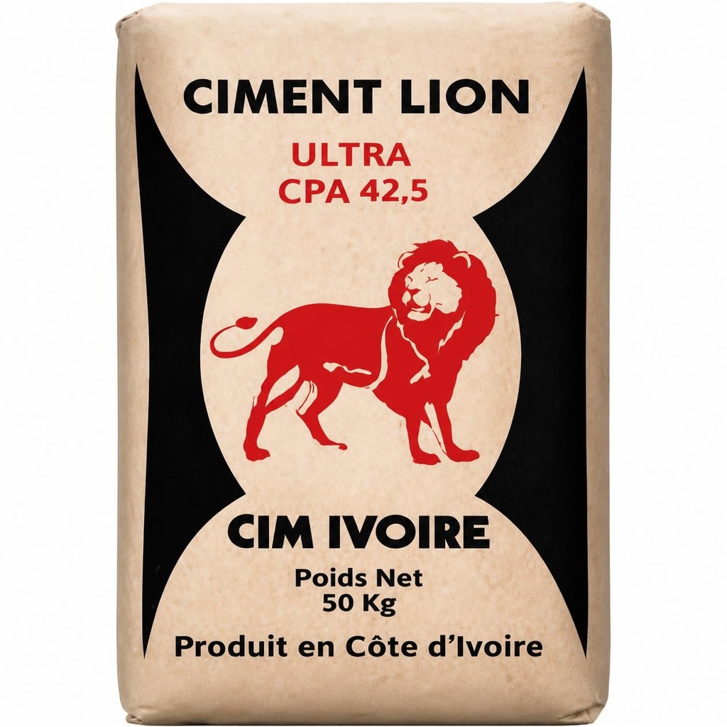 CIMENT POWER CPA 45 SAC DE 50KG