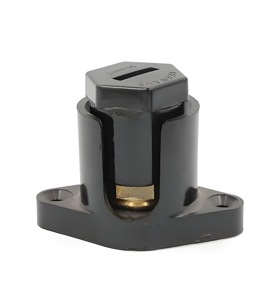 BORNE ANTI CISAIL AVEC PATTES 2X50MM2 LEGRAND